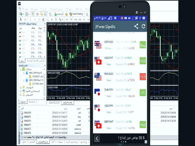 MetaTrader 4 Forex Trading